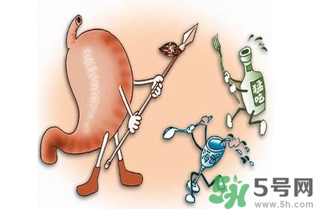 哪些食物幫你在酒后保養(yǎng)胃部？養(yǎng)胃護(hù)胃的誤區(qū)是什么？
