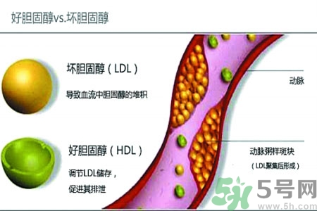 膽固醇高會引發(fā)什么疾病嗎？如何控制高膽固醇？