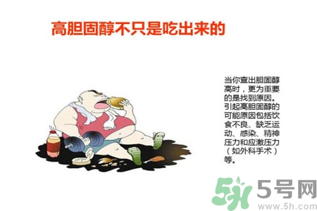 高膽固醇會影響胖瘦嗎？高膽固醇和胖瘦有關(guān)系嗎？