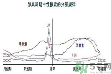 如何分清常見(jiàn)的激素藥？如何正確使用激素類(lèi)藥物？