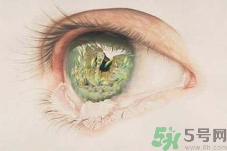 睡覺時流眼淚是怎么回事？如何保護(hù)眼睛？