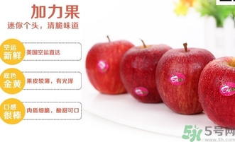 姬娜果是什么？姬娜果的功效作用