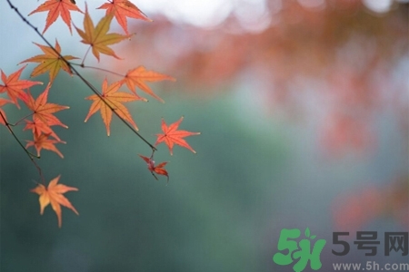 秋老虎如何謹防皮膚?。壳锢匣⑷绾晤A(yù)防皮膚??？