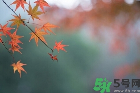 秋天換季病有哪些？秋天該如何保健養(yǎng)生呢？