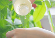 春雨水乳適合人群 春雨水乳孕婦可以用嗎？
