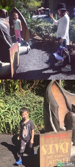 王寶強老婆馬蓉在美國嗎？婚姻中攜款逃跑受什么處罰？
