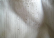 衣服長黑點(diǎn)怎么洗掉？衣服上長霉點(diǎn)怎么去除？