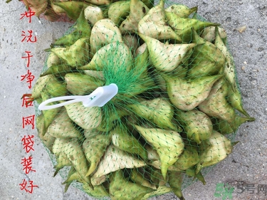 菱角和豬肉能一起吃嗎？菱角和什么不能一起吃？
