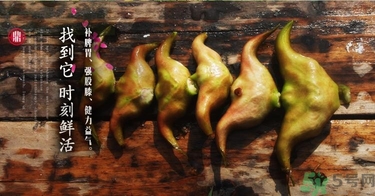 菱角和豬肉能一起吃嗎？菱角和什么不能一起吃？
