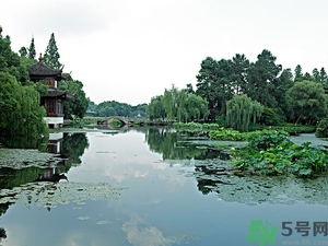 菱角是什么？菱角是什么季節(jié)成熟的？