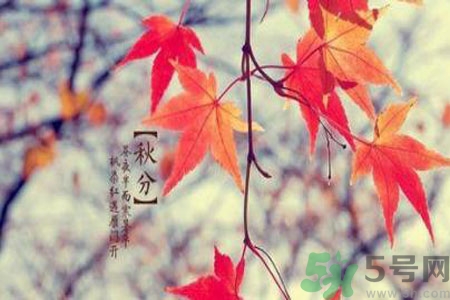 女性秋季防燥需注意哪些？女性秋季防燥吃什么？