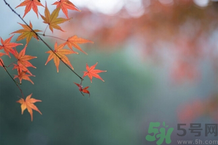 秋季如何預(yù)防去燥防風？秋天防燥可以吃什么食物？