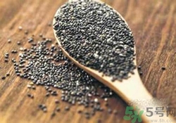 奇亞籽是什么？奇亞籽的功效作用