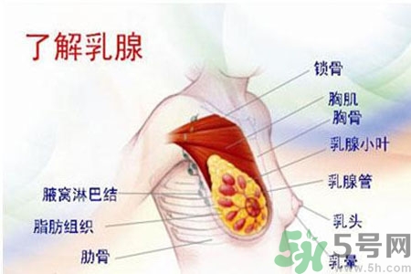 如何按摩讓乳頭變紅？讓乳頭變紅的方法？