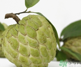 釋迦果怎么吃？釋迦的營養(yǎng)價值功效作用