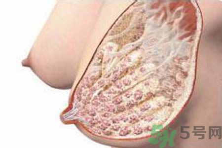乳腺增生可以懷孕嗎？如何預(yù)防乳腺增生？
