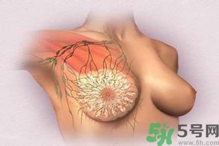 乳頭發(fā)黑怎么辦？怎么樣可以使乳頭變白？