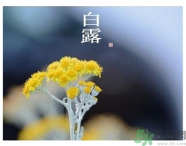 白露身不露是什么意思？白露還熱嗎？