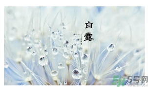白露吃什么好？白露食療