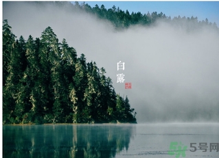 白露吃什么好？白露食療