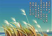 白露是什么意思？白露是幾月幾日