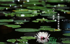 處暑如何養(yǎng)生？處暑養(yǎng)生要注意什么？