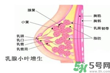 乳房上有硬塊怎么辦？乳房有硬塊的病因是什么？