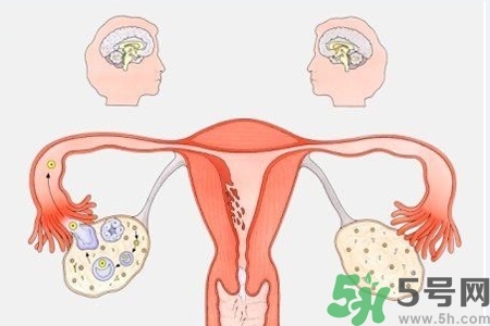 陰道出血和什么有關(guān)？陰道出血的應(yīng)急措施有哪些？