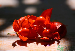 紅姑娘怎么吃？紅姑娘怎么保存？