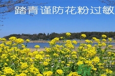 花粉過敏的表現(xiàn)是什么？如何有效的預(yù)防花粉過敏？
