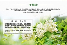 洋槐蜜的鑒別方法是什么？洋槐蜜多少錢一斤？