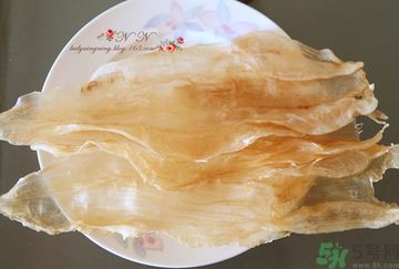 魚膠是什么？魚膠的功效與作用？