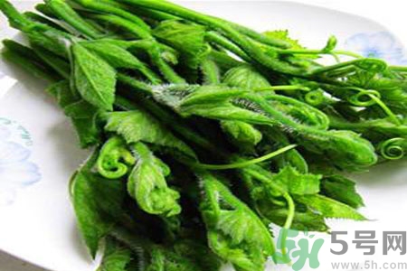 南瓜藤的功效作用有哪些？南瓜藤的食用價(jià)值是什么？