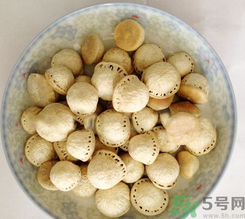 壯陽果怎么食用？壯陽果的功效與作用
