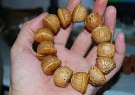 壯陽(yáng)果怎么泡酒？ 壯陽(yáng)果泡酒的功效與作用