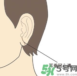 耳垂上有豎紋是怎么回事？山根有橫紋是什么病？