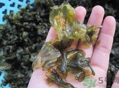 地皮菜是發(fā)物嗎？地皮菜的功效與禁忌