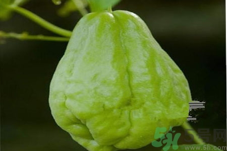 佛手瓜的功效與作用是什么？佛手瓜的營養(yǎng)價值有哪些？