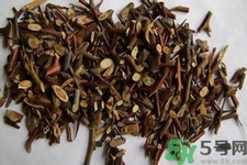 皂角刺的藥用價值是什么？皂角刺的功效與作用有哪些？
