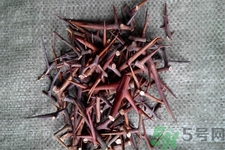 皂角刺的藥用價值是什么？皂角刺的功效與作用有哪些？