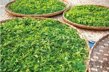 普洱茶怎么保存？茶葉能放冰箱嗎？