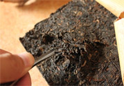 普洱茶怎么保存？茶葉能放冰箱嗎？