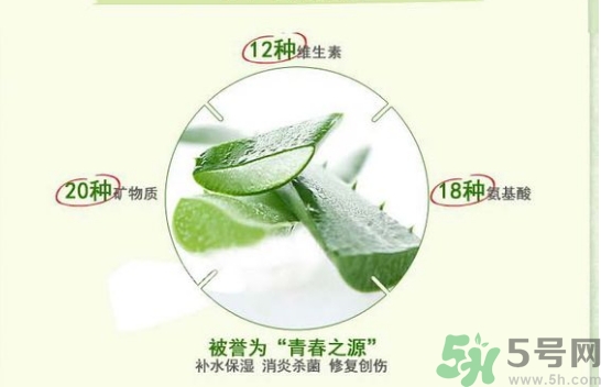 the saem得鮮和自然樂園哪個好？得鮮的蘆薈膠和自然樂園哪個好？