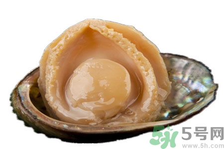 鮑魚如何挑選？鮑魚怎么保存？