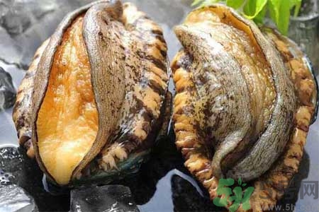 鮑魚的營(yíng)養(yǎng)價(jià)值有哪些？鮑魚的藥用價(jià)值是什么？