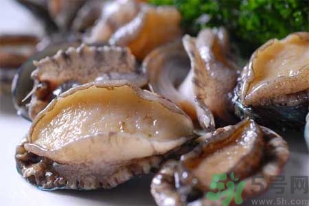 鮑魚的營(yíng)養(yǎng)價(jià)值有哪些？鮑魚的藥用價(jià)值是什么？