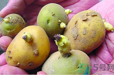 土豆發(fā)芽了還能吃嗎？發(fā)芽的土豆吃了會(huì)怎么樣？