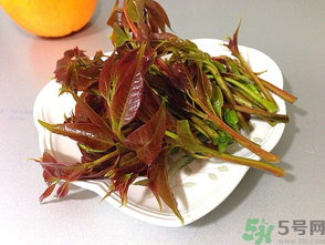 孕婦可以吃香椿嗎？孕婦吃香椿的好處及注意事項(xiàng)