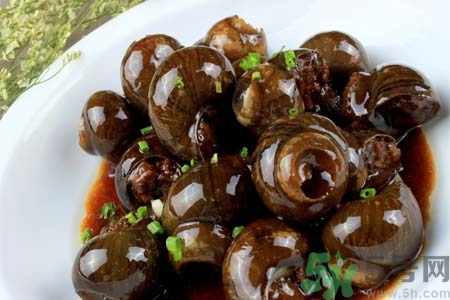 田螺肉怎樣做？田螺的營養(yǎng)價值有哪些？