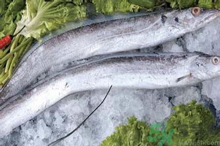 凍帶魚怎么解凍？帶魚內(nèi)臟怎么洗？